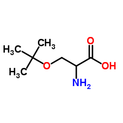 O-(2-Methyl-2-propanyl)serine Structure