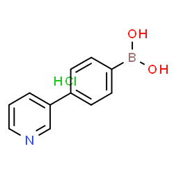 4-(3-Pyridyl)phenylboronic Acid Hydrochloride	(contains varying amounts of Anhydride) picture