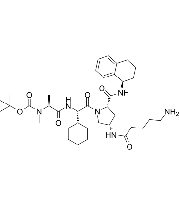 Boc-A 410099.1 amide-alkylC4-amine structure