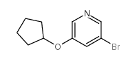 3-溴-5-环戊氧基吡啶图片