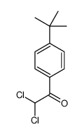 2,2-dichloro-1-[4-(1,1-dimethylethyl)phenyl]ethan-1-one picture