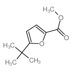 5-叔丁基呋喃-2-羧酸甲酯图片