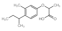 Propanoic acid,2-[3-methyl-4-(1-methylpropyl)phenoxy]- picture