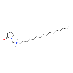 Cetyl pyrrolidonylmethyl dimonium chloride picture