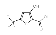 5-(TRIFLUOROMETHYL)-3-HYDROXYTHIOPHENE-2-CARBOXYLIC ACID structure