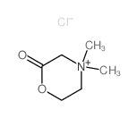 Morpholinium,4,4-dimethyl-2-oxo-, chloride (1:1)结构式