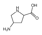 Proline, 4-amino- (7CI,8CI,9CI)图片