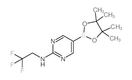 2-(2,2,2-三氟乙基氨基)嘧啶-5-硼酸频那醇酯图片