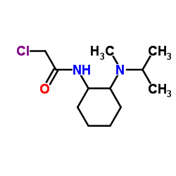 2-Chloro-N-{2-[isopropyl(methyl)amino]cyclohexyl}acetamide结构式