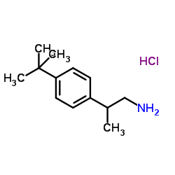 2-[4-(2-Methyl-2-propanyl)phenyl]-1-propanamine hydrochloride (1:1) Structure