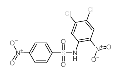 Benzenesulfonamide,N-(4,5-dichloro-2-nitrophenyl)-4-nitro-结构式