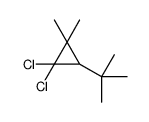 3-tert-butyl-1,1-dichloro-2,2-dimethylcyclopropane structure