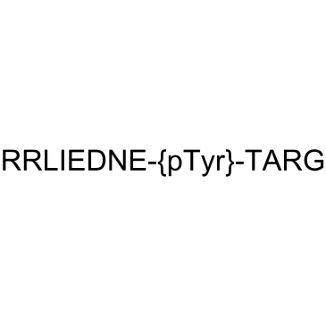 pp60 (v-SRC) Autophosphorylation Site, Phosphorylated图片