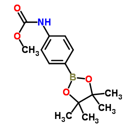 Methyl (4-(4,4,5,5-tetramethyl-1,3,2-dioxaborolan-2-yl)phenyl)carbamate structure