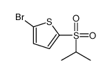 2-溴-5-(异丙基磺酰基)噻吩结构式