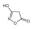 1,2-oxazolidine-3,5-dione Structure