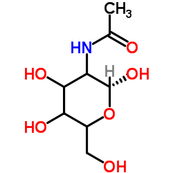 chitin structure