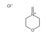 4-methylenemorpholin-4-ium chloride结构式