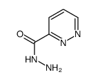 pyridazine-3-carbohydrazide picture