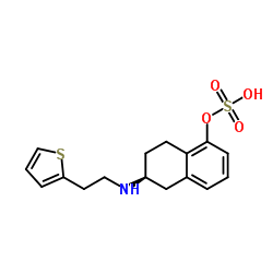 6638WXC8KK Structure