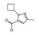 1H-Pyrazole-5-carbonyl chloride, 1-cyclobutyl-3-methyl- (9CI) Structure