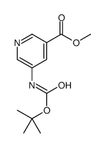 5-(Boc-氨基)烟酸甲酯图片