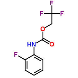 2,2,2-trifluoroethyl 2-fluorophenylcarbamate图片