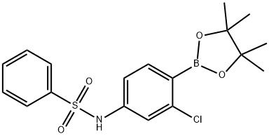 2-氯-4-(苯磺酰氨基)苯硼酸频哪醇酯图片