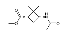 Cyclobutanecarboxylic acid, 3-(acetylamino)-2,2-dimethyl-, methyl ester, Structure
