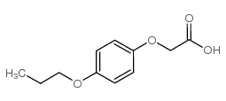 2-(4-propoxyphenoxy)acetic acid picture