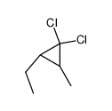 cis,trans-3,3-Dichlor-1-methyl-2-aethyl-cyclopropan Structure