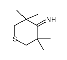 3,3,5,5-tetramethylthian-4-imine结构式