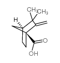 Bicyclo[2.2.1]heptane-1-carboxylicacid, 3,3-dimethyl-2-methylene- Structure