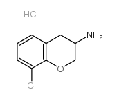 N-?-NITRO-L-ARGININEBENZYLESTER picture