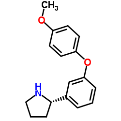 1212825-23-4结构式