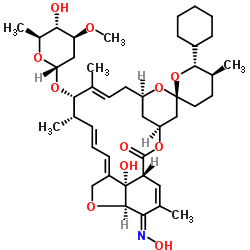 西拉菌素图片