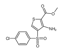 METHYL 3-AMINO-4-[(4-CHLOROPHENYL)SULFONYL]THIOPHENE-2-CARBOXYLATE picture