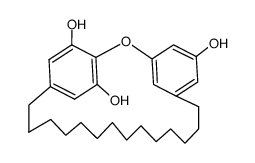 2,5-[Oxy(5-hydroxy-1,3-phenylene)(tetradecane-1,14-diyl)]resorcinol picture