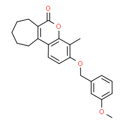 500203-70-3结构式