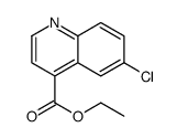 ethyl 6-chloroquinoline-4-carboxylate picture