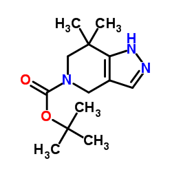 7,7-二甲基-6,7-二氢-1H-吡唑并[4,3-c]吡啶-5(4H)-羧酸叔丁酯结构式