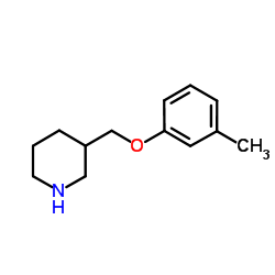 3-[(3-Methylphenoxy)methyl]piperidine picture