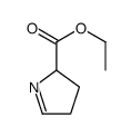 ethyl 3,4-dihydro-2H-pyrrole-2-carboxylate structure