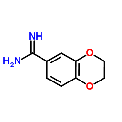 2,3-Dihydro-1,4-benzodioxine-6-carboximidamide Structure