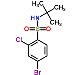 4-Bromo-2-chloro-N-(2-methyl-2-propanyl)benzenesulfonamide结构式