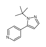 4-(1-TERT-BUTYL-1H-PYRAZOL-5-YL)PYRIDINE structure