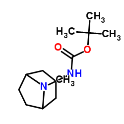 tert-Butyl endo-3-amino-8-azabicyclo[3.2.1]octane-8-carboxylate structure