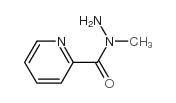 2-Pyridinecarboxylicacid,1-methylhydrazide(9CI)结构式