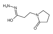 3-(2-oxopyrrolidin-1-yl)propanehydrazide Structure