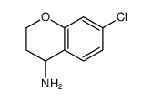 7-氯苯并二氢吡喃-4-胺图片